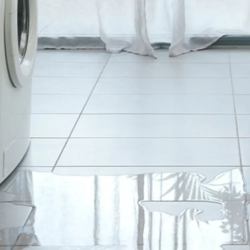 Appliance Leak Cleanup in Sanatoga, PA
