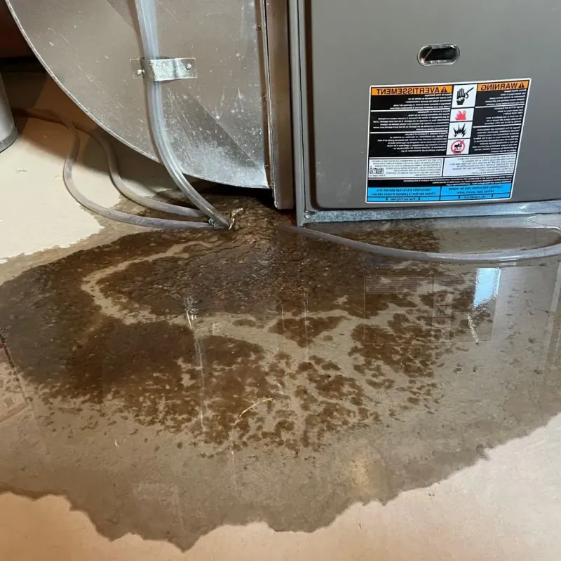 Pipe Burst and Leak Restoration in Sanatoga, PA